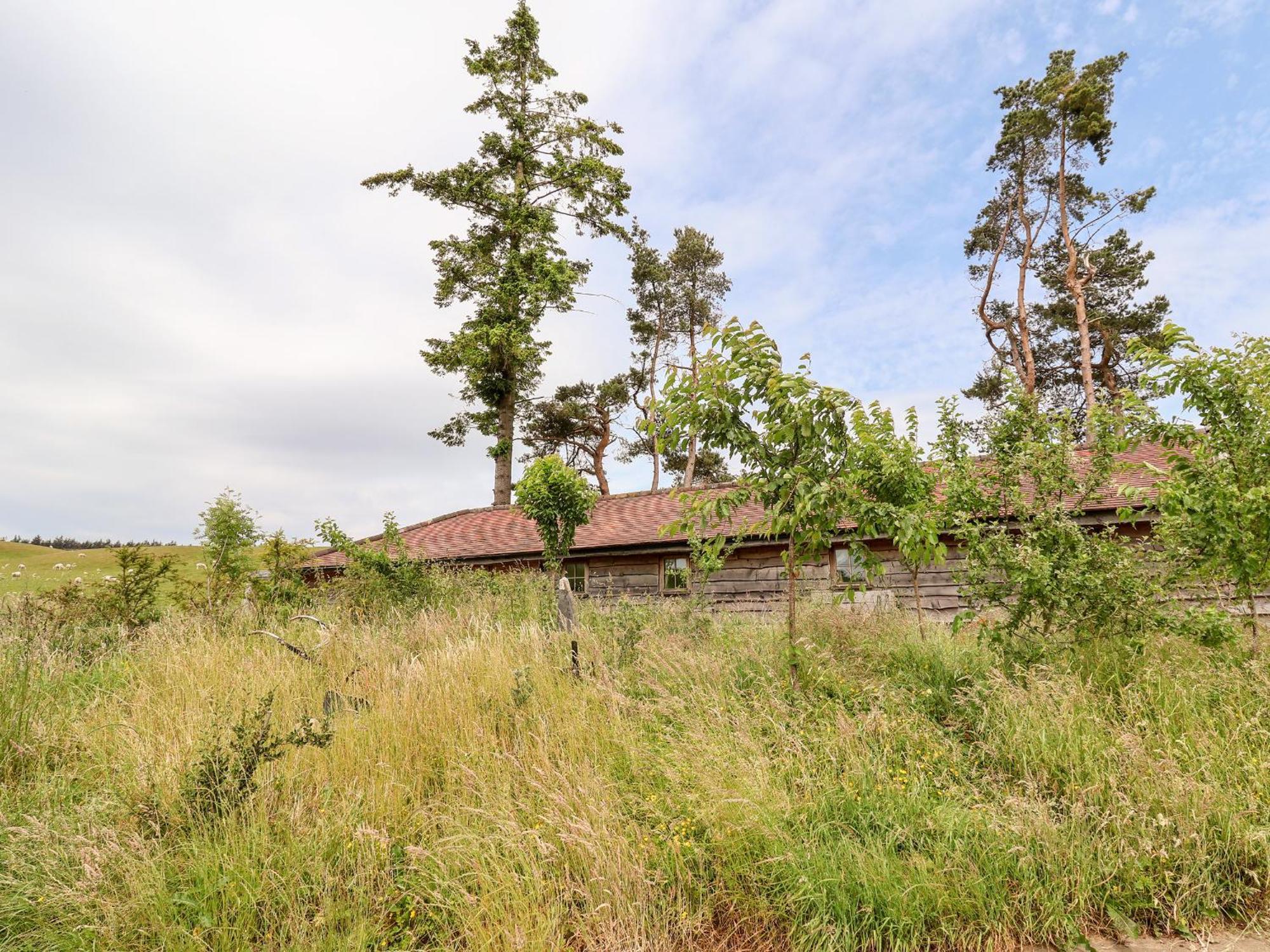 Y Caban Villa Llangollen Eksteriør bilde